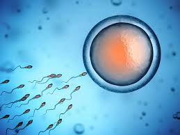 Male Fertility Clinic In Chennai