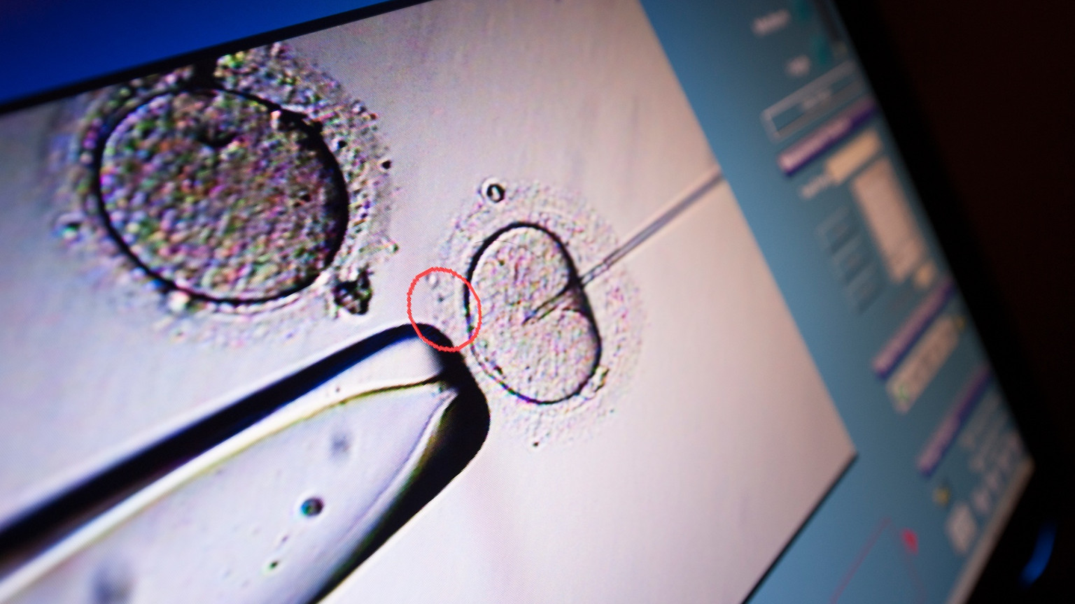 Tour Our Fertility Centers New England Fertility in Connecticut