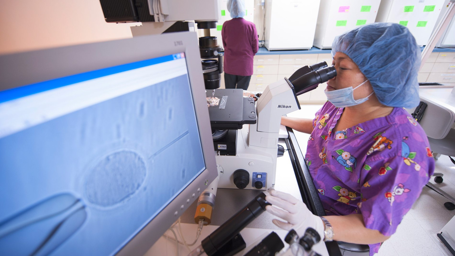 Tour Our Fertility Centers New England Fertility in Connecticut